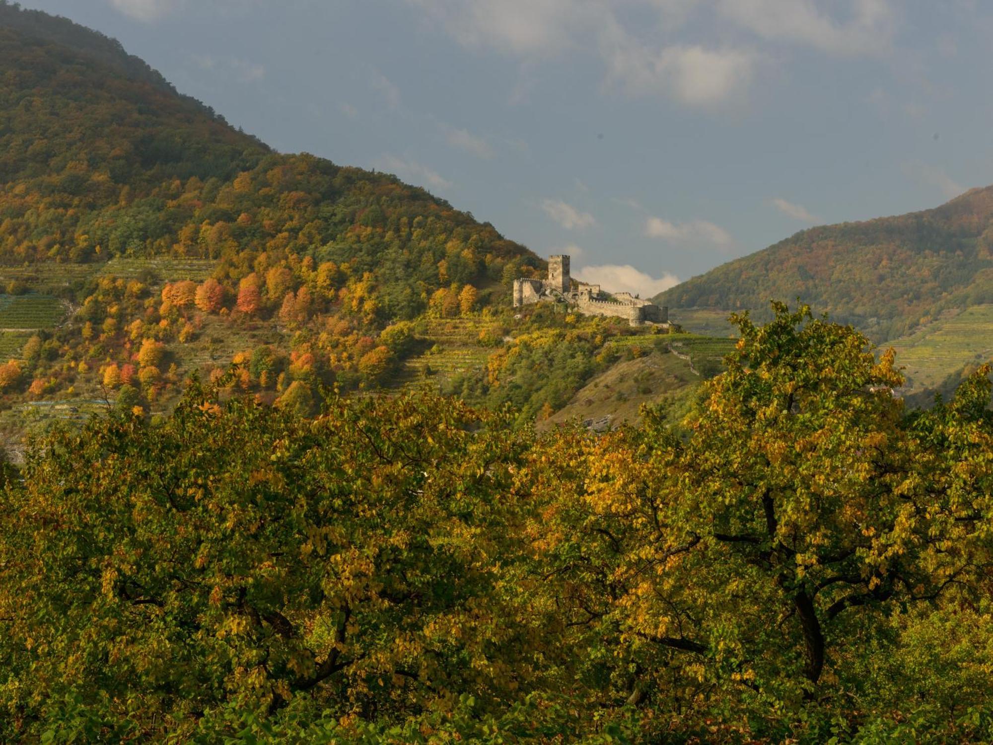 Отель Gaestehaus Familie Trachsler Rohrendorf bei Krems Экстерьер фото